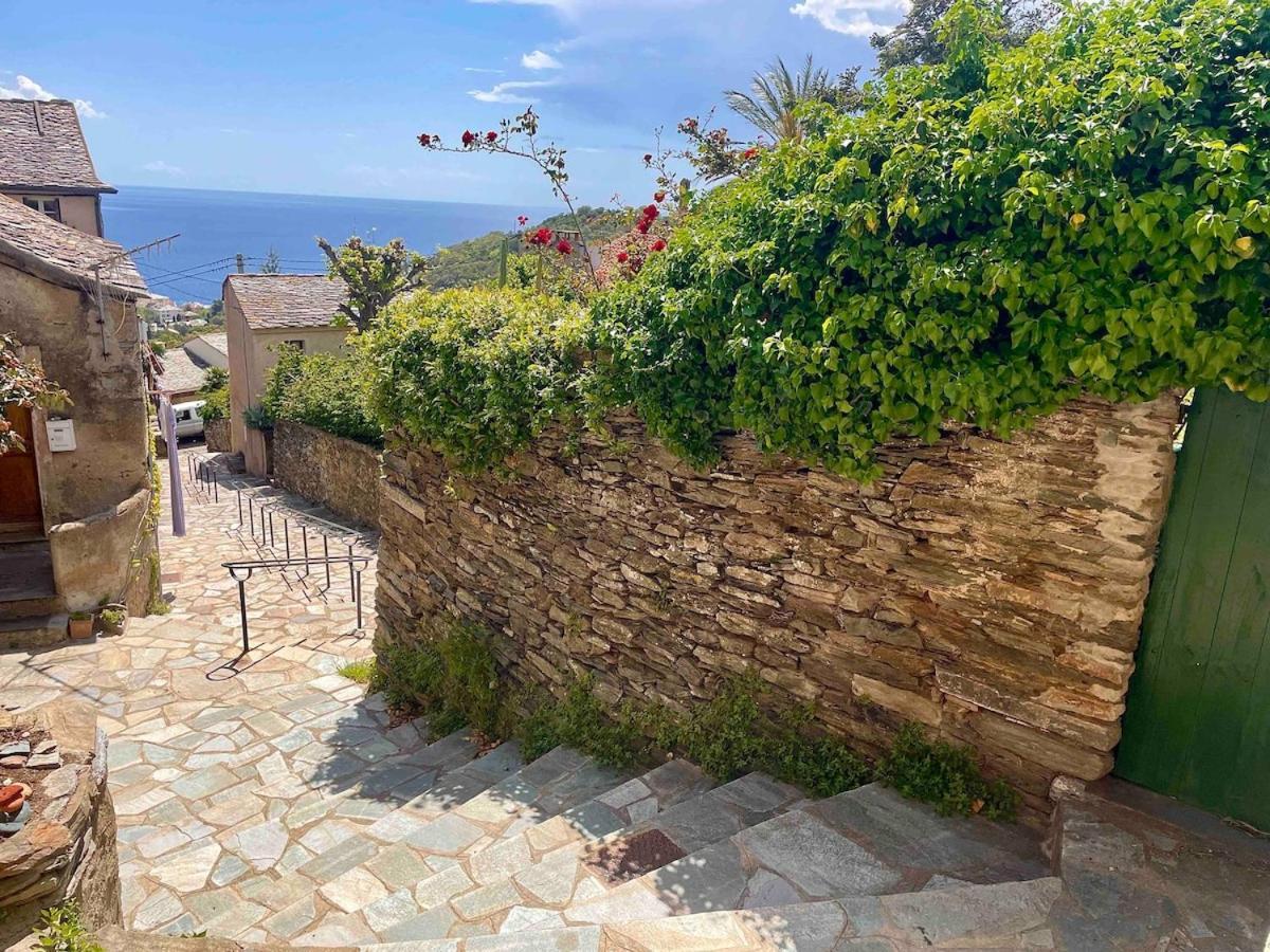 Апартаменты La Tour Morazzani Cap Corse Hideaway Брандо Экстерьер фото
